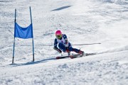 世界跆拳道线上公开赛2026年继续保留 成为常规项目，2020年世界跆拳道比赛