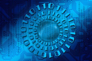 开云入口-大数据应用助力训练科学管理，大数据在训练管理中的应用